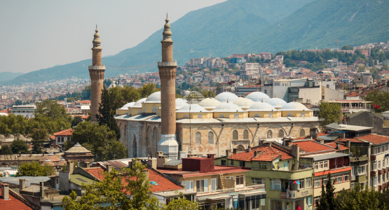 Bursa
